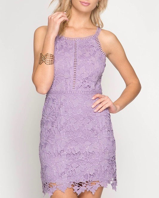 Lavender lace shop bodycon dress