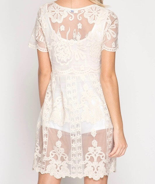 Sheer Short Sleeve Crochet Lace Dress in More Colors