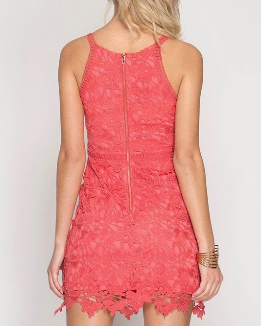 Ashlyn Sleeveless Lace Bodycon Dress in Coral