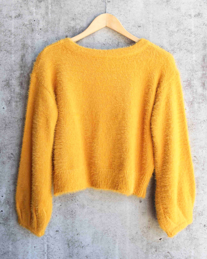 Fuzzy Cropped Sweater in More Colors